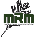 mrm_logo_n_03